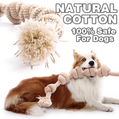 PATTEPOINT dog rope toy tug-of-war encourages social play between dogs