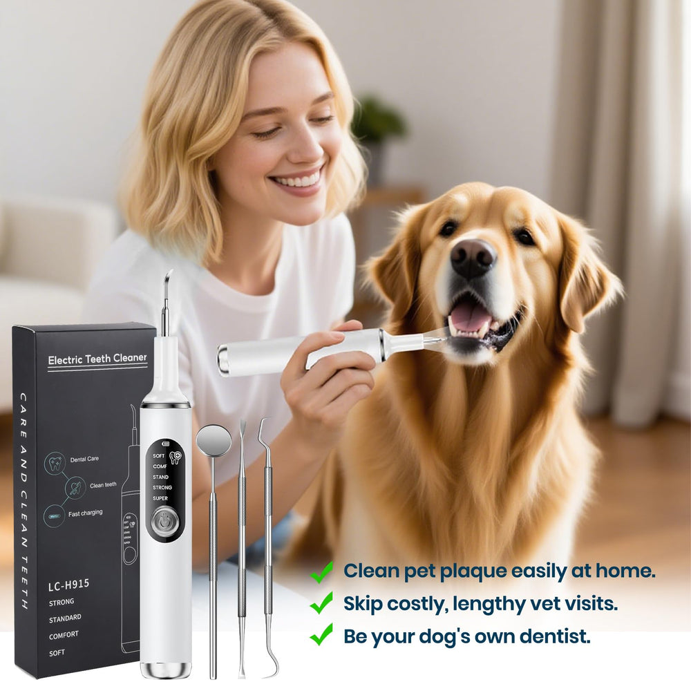 PATWING dog teeth cleaning at home supports calmer routines with painless maintenance.