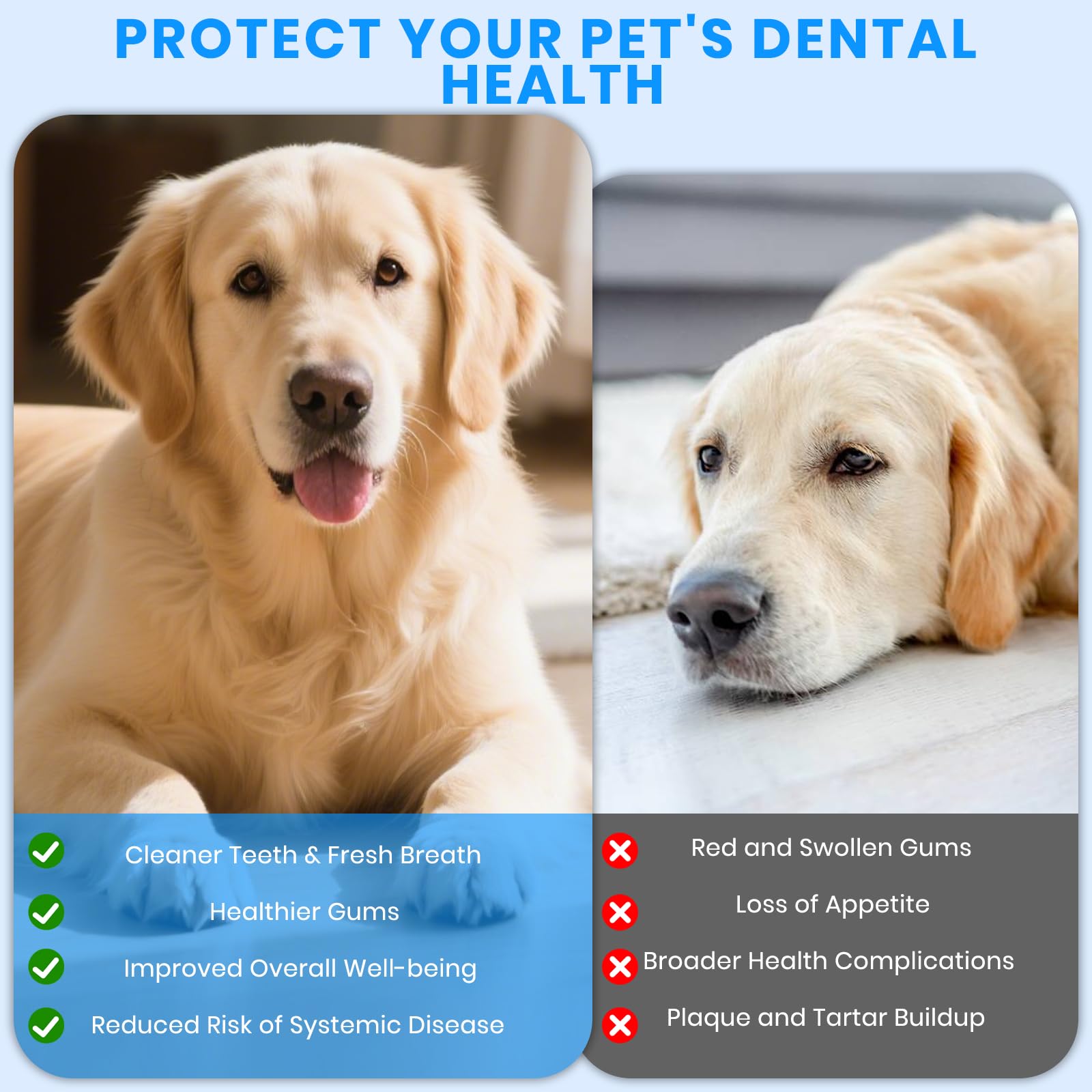 PATWING professional pet teeth cleaning kit includes heads, mirrors, and tools for comprehensive care.