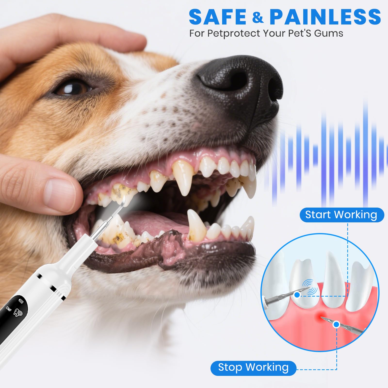 PATWING ultrasonic dog teeth cleaner 40kHz visibly cleans tartar without touching sensitive gums.