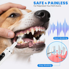 PATWING ultrasonic dog teeth cleaner 40kHz visibly cleans tartar without touching sensitive gums.