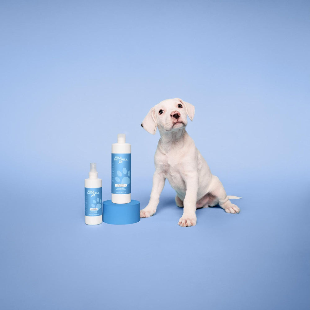Paul Mitchell Pet tropical fragrance image evokes ginger-tea mango scent