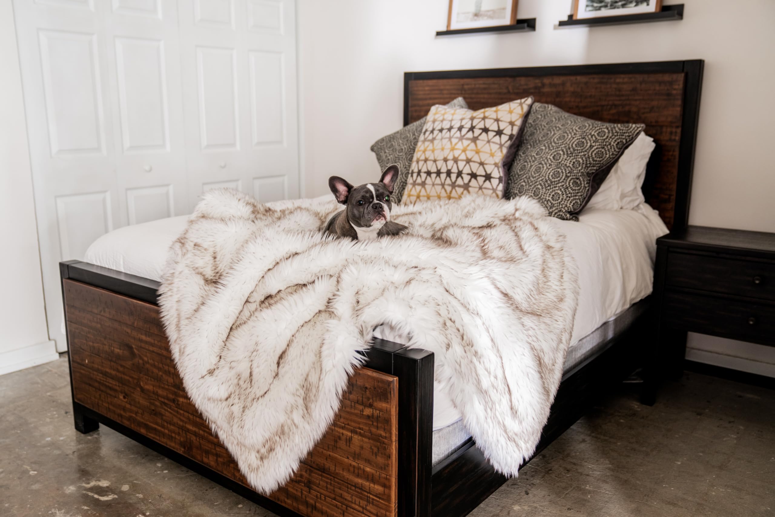 PAW BRANDS PupProtector cat napping on blanket shows cozy, machine-washable comfort.
