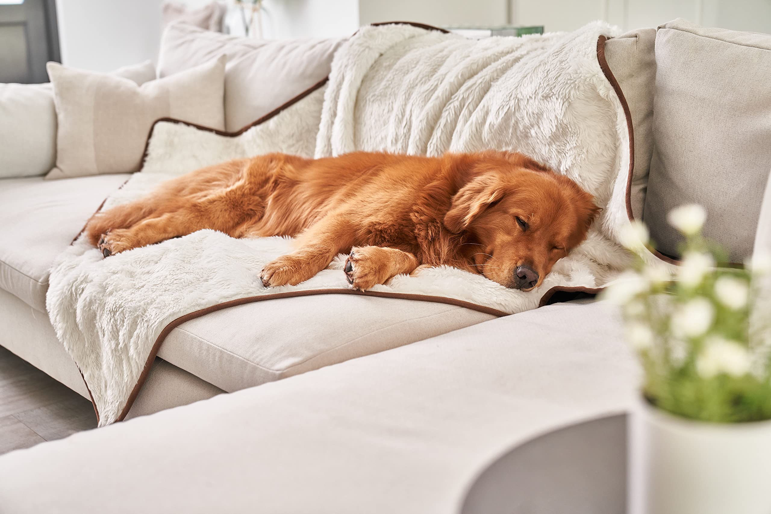 PAW BRANDS PupProtector dual-texture close-up showing warmth and comfort for pets