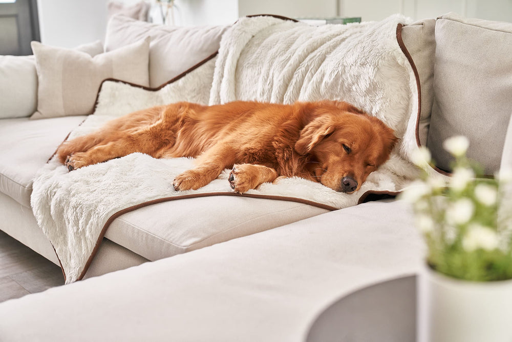 PAW BRANDS PupProtector dual-texture close-up showing warmth and comfort for pets