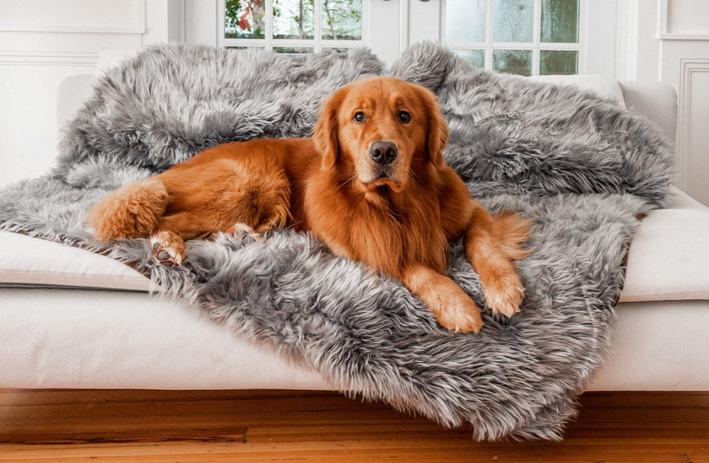 PAW BRANDS PupProtector waterproof-lining closeup highlights spill protection for furniture.