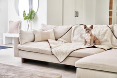 PAW BRANDS PupProtector on couch showing dual-texture comfort and coverage