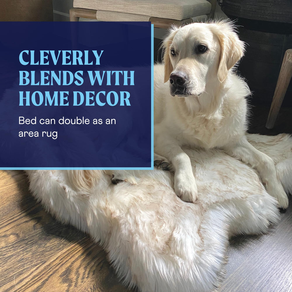 PAW BRANDS PupRug white with brown accents complements interiors
