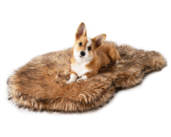 PAW BRANDS PupRug bed front view showing memory foam support for joints