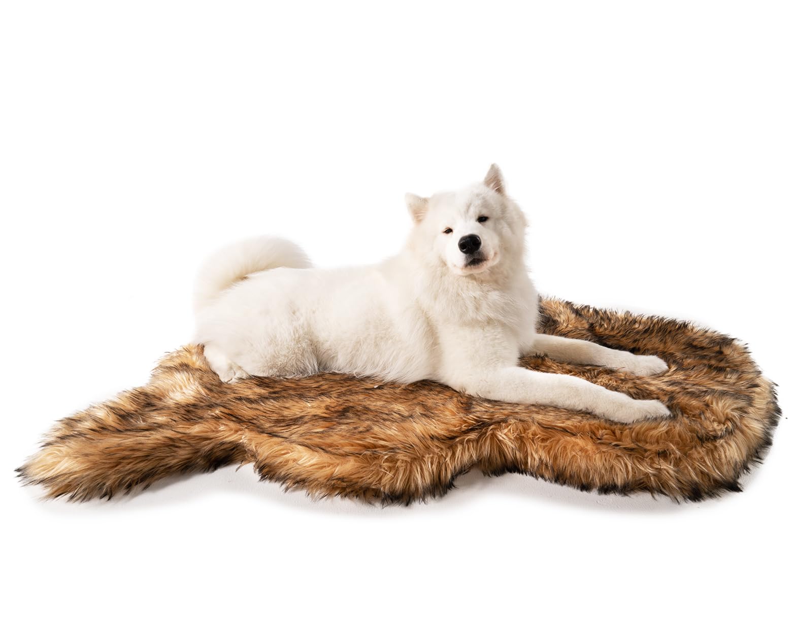 PAW BRANDS PupRug bed in living room, ideal for large dogs