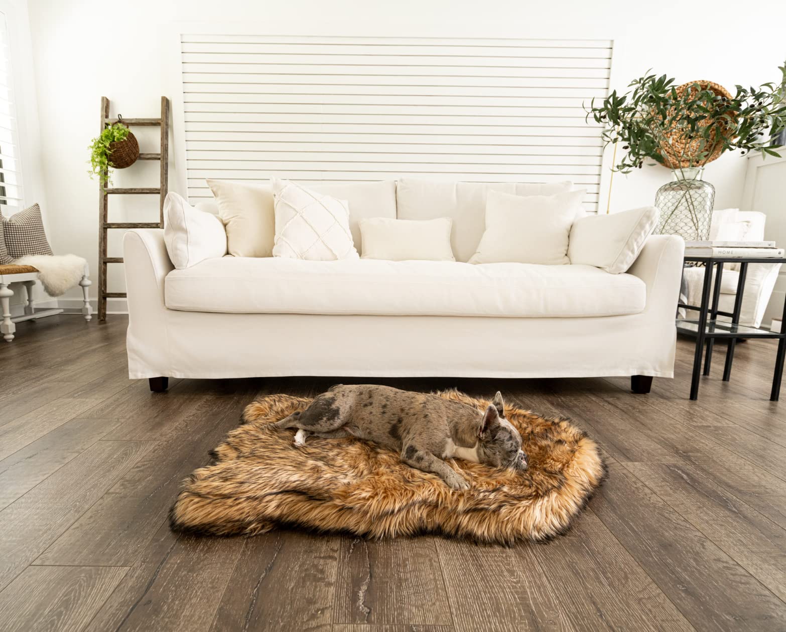 PAW BRANDS PupRug bed memory foam core contours to joints for comfort
