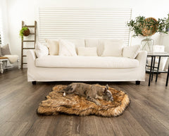 PAW BRANDS PupRug bed memory foam core contours to joints for comfort