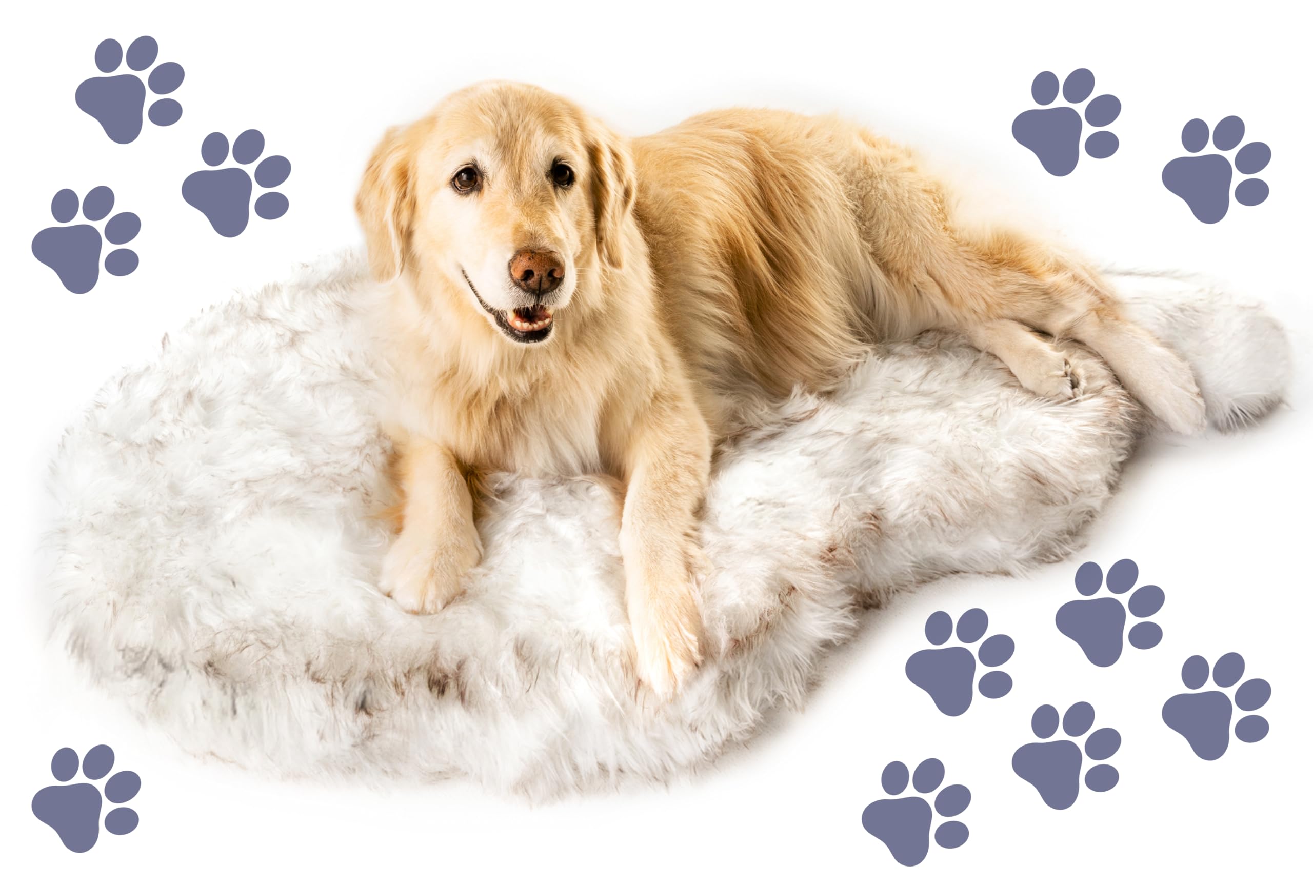 PAW BRANDS PupRug memory foam layer supports joints for restful naps.