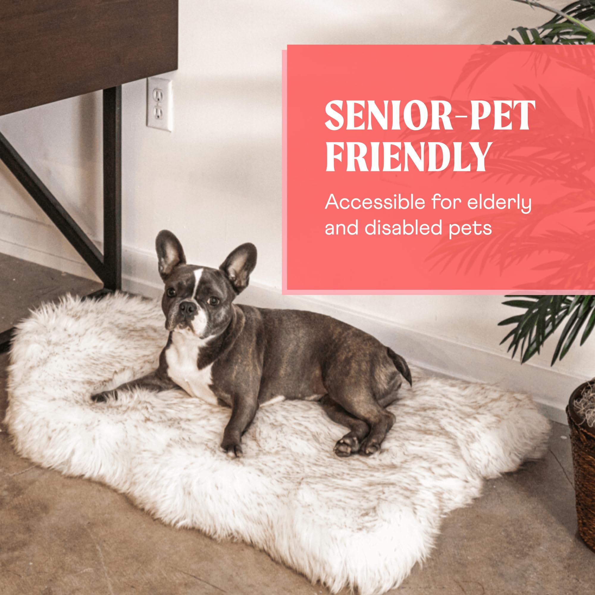 PAW BRANDS PupRug modern couch bed blends with home decor.