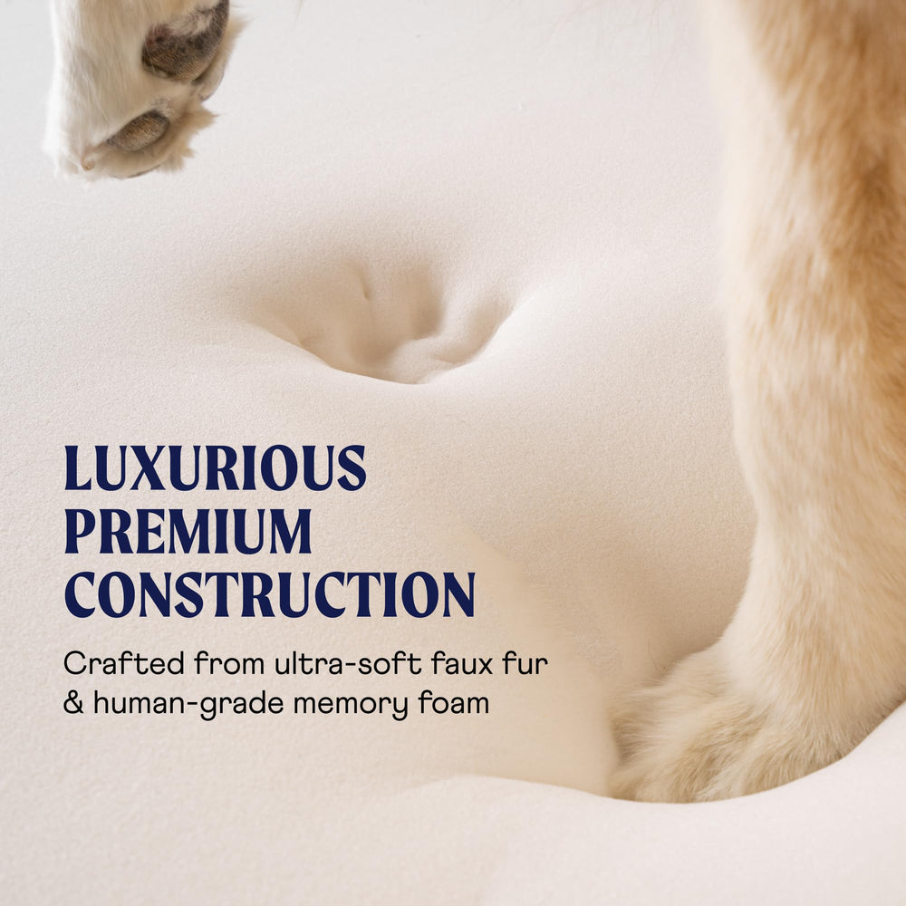 PAW BRANDS PupRug waterproof layer protects the core from spills.