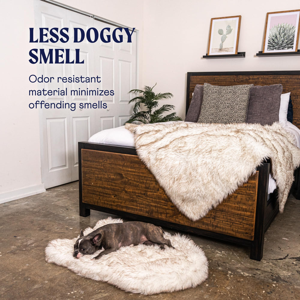 PAW BRANDS PupRug white with brown accents adds style and comfort.