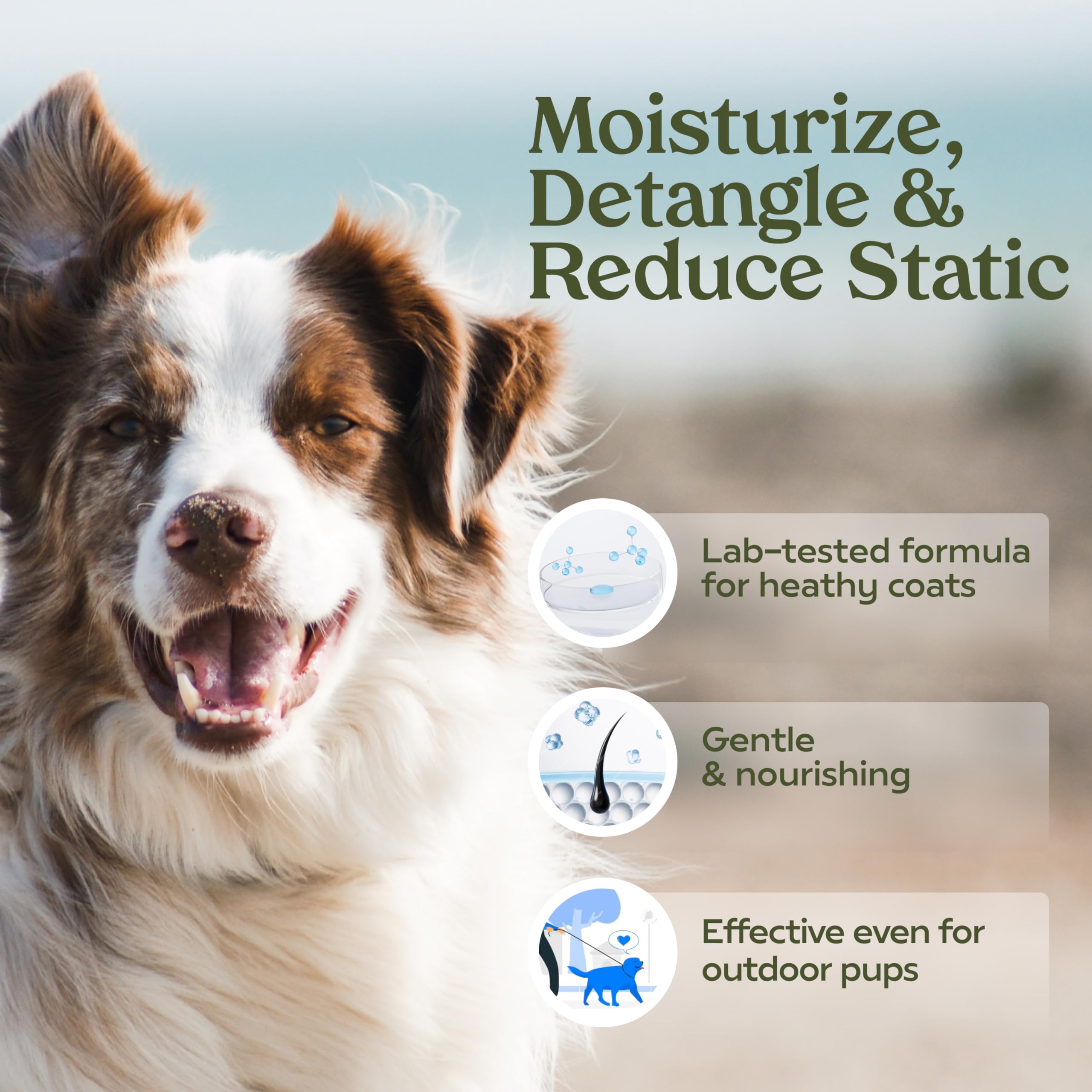 Paw Fume Blue Ribbon spritz on coat showing even mist coverage for deodorizing.