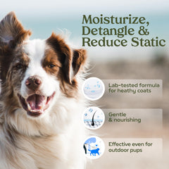 Paw Fume Blue Ribbon spritz on coat showing even mist coverage for deodorizing.