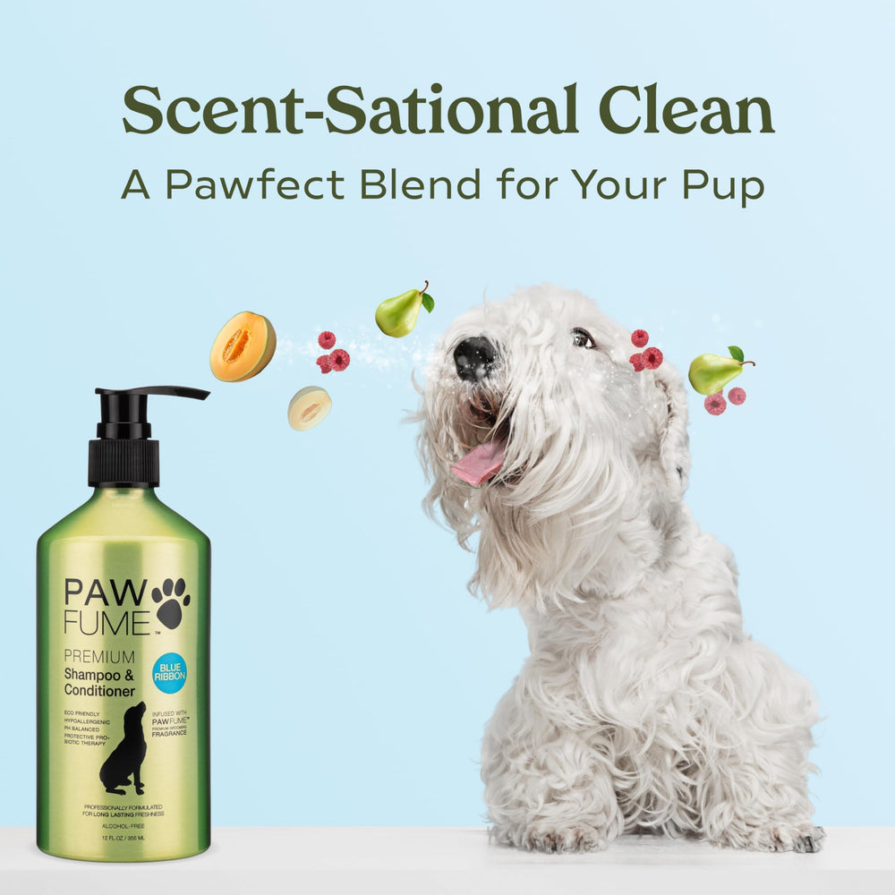 Paw Fume champú para perros: limpieza profunda sin resecar el pelaje