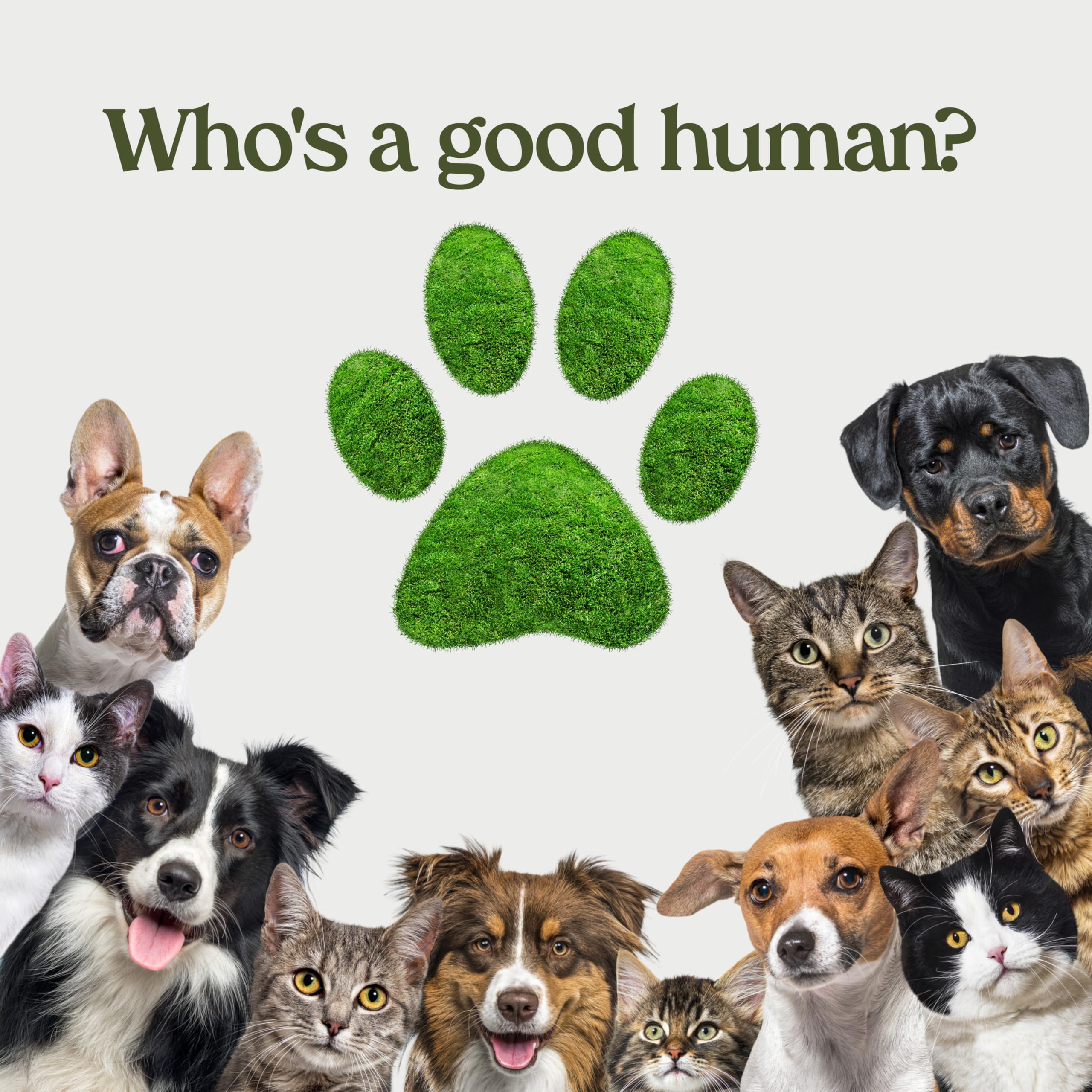 Paw Fume pro-groomer-recommendation suggests spa-quality results at home.