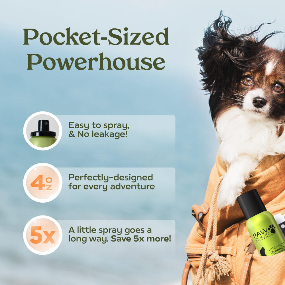 Paw Fume PAWFUME show dog coat refresh during events and visits.