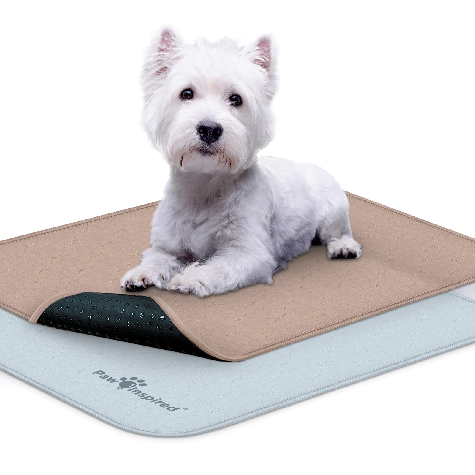 Paw Inspired crate liner 24x18 in-crate keeps the crate clean and cozy for dogs.