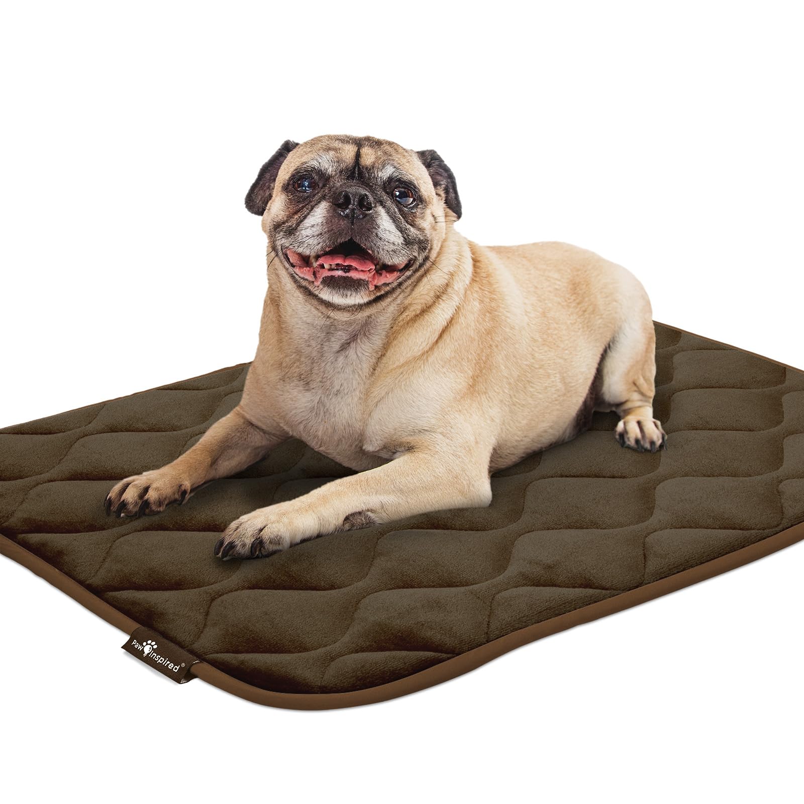 Paw Inspired crate mat 29x18-inch size demonstrates crate versatility.