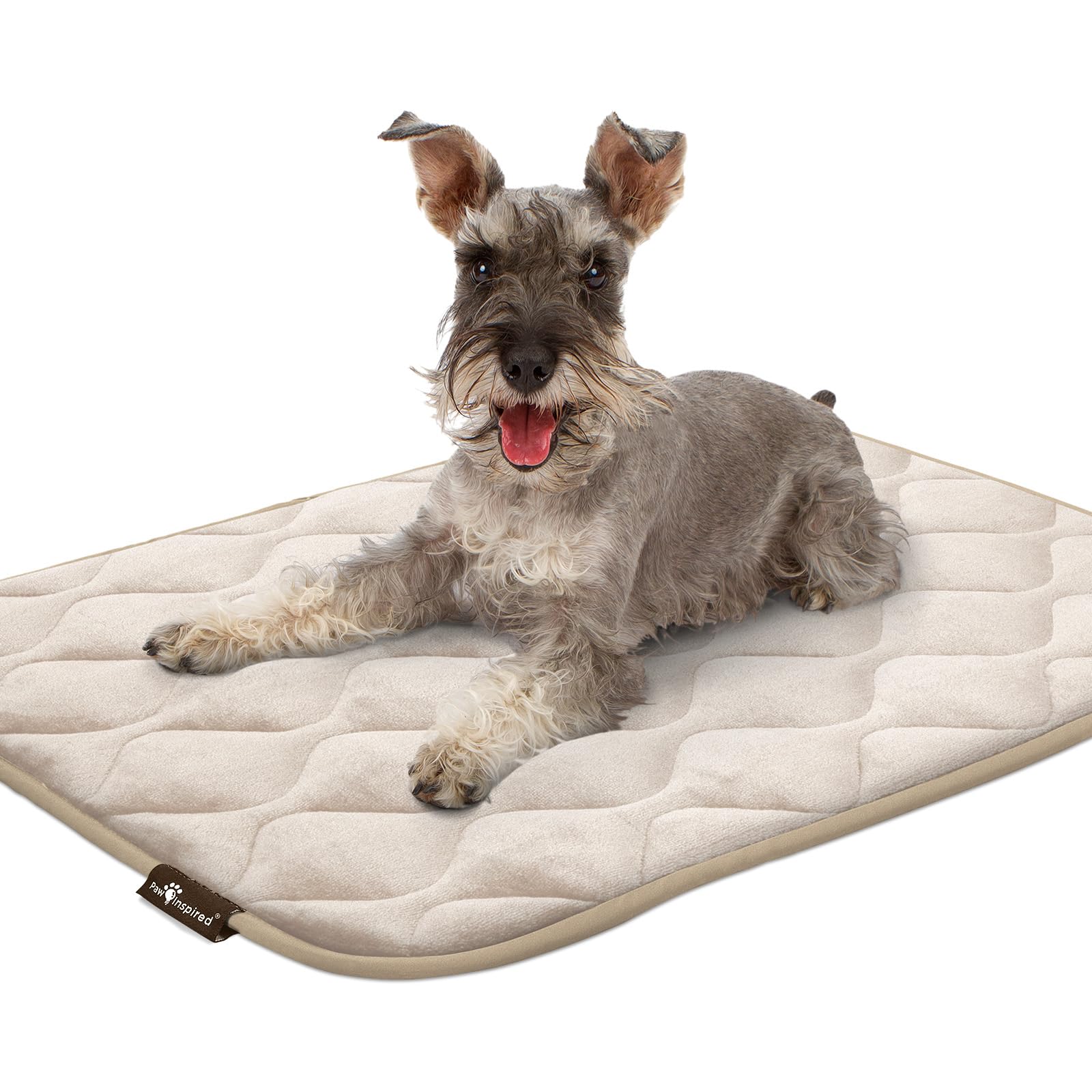 Paw Inspired machine-washable label conveys easy cleaning.