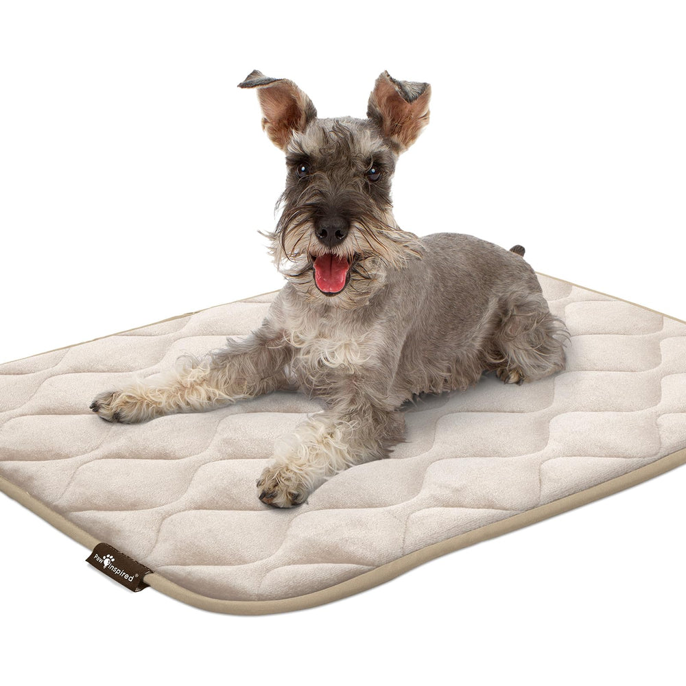 Paw Inspired machine-washable label conveys easy cleaning.