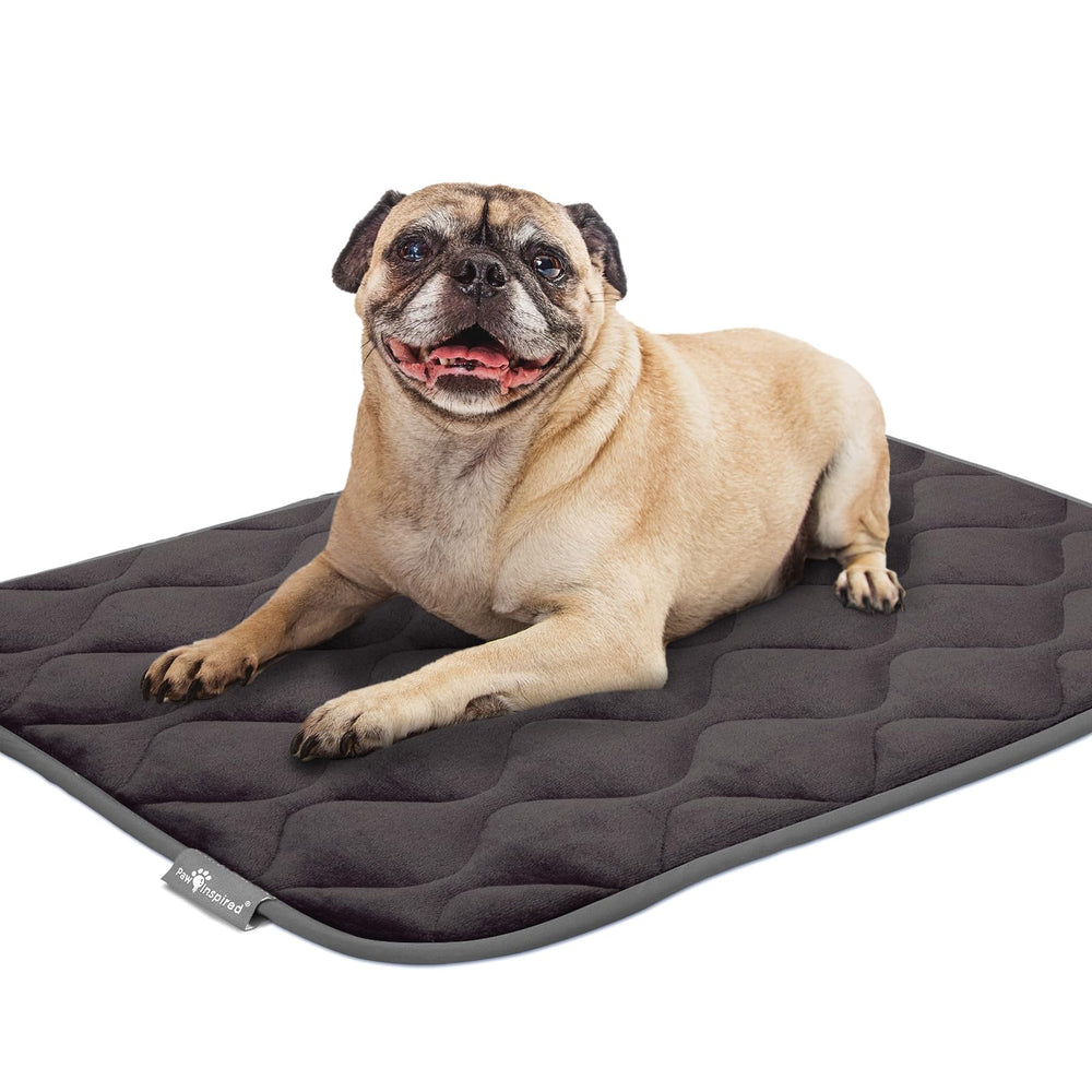Paw Inspired dog resting in crate with padded mat for nap time