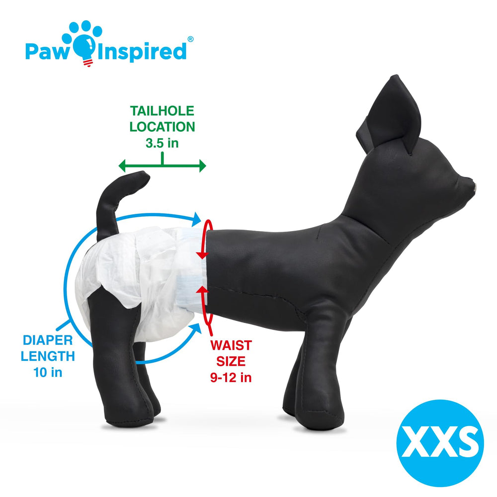 Paw Inspired XXS diaper used during heat and potty-training scenarios