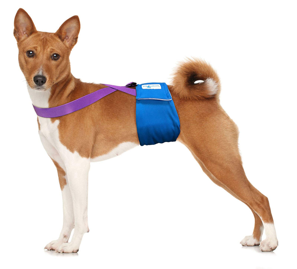 Paw Inspired purple adjustable straps demonstrate a customized fit for multiple dog sizes