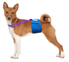 Paw Inspired purple adjustable straps demonstrate a customized fit for multiple dog sizes