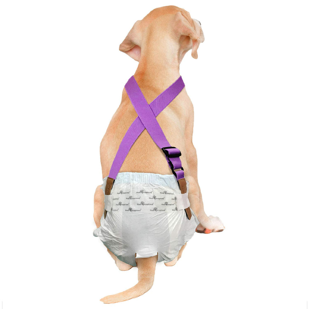 Paw Inspired purple back view shows secure diaper hold for active dogs during walks