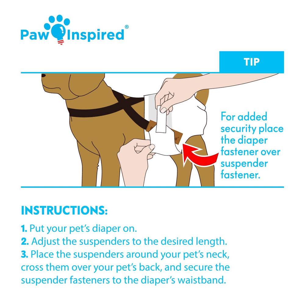 Paw Inspired purple worn by dog during play to reduce diaper slippage