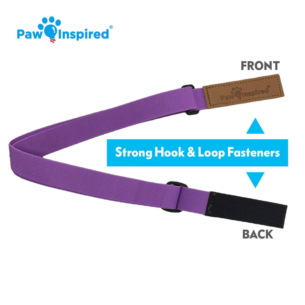 Paw Inspired purple female-wrap compatibility helps keep female diapers in place