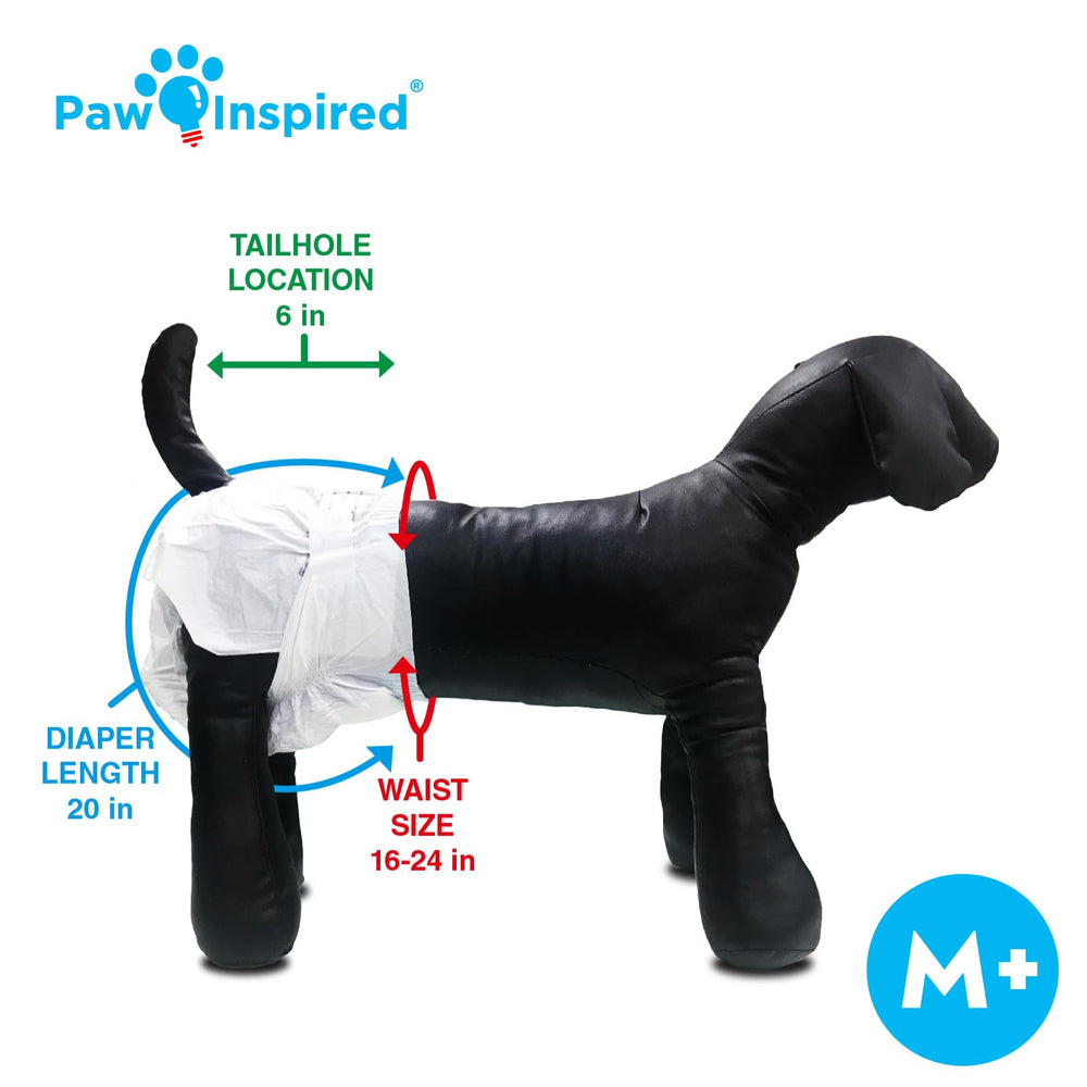 Paw Inspired gathered leak-proof edges prevent spills during activity.