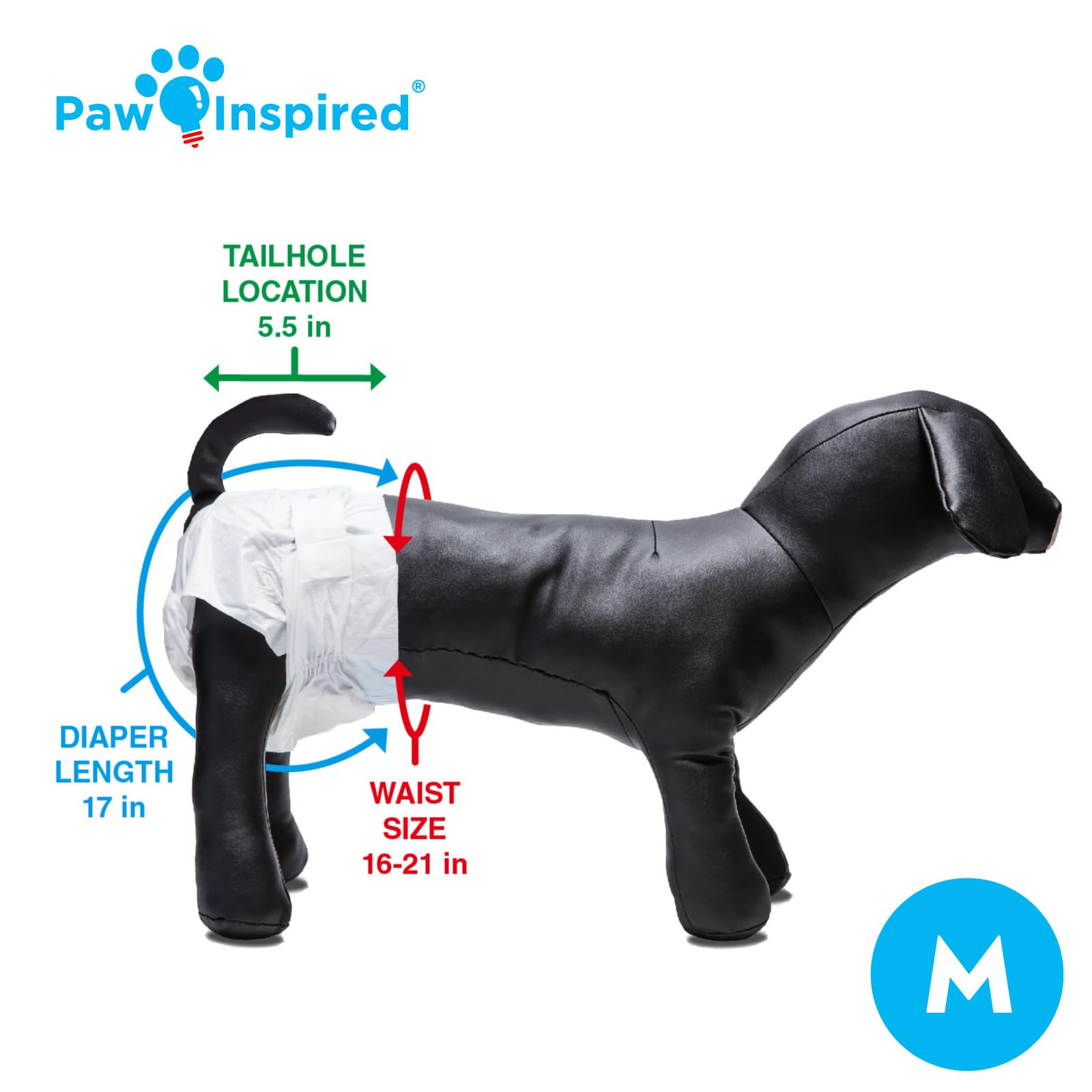 Paw Inspired dog diapers in-use offer breathable comfort and secure fit across breeds.
