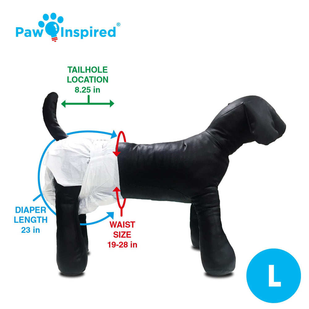 Paw Inspired large size diaper demonstrates leak-proof protection for female dogs.