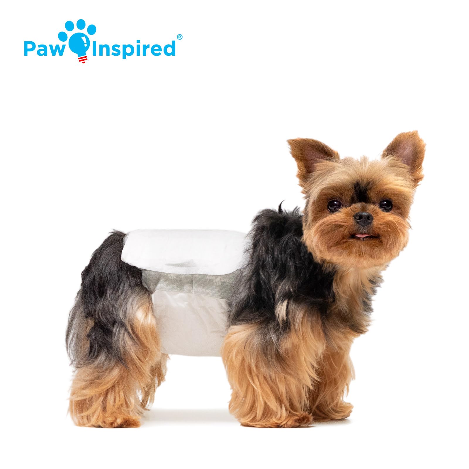 Paw Inspired DrySpeed technology gel transformation highlights quick absorption and dry comfort.