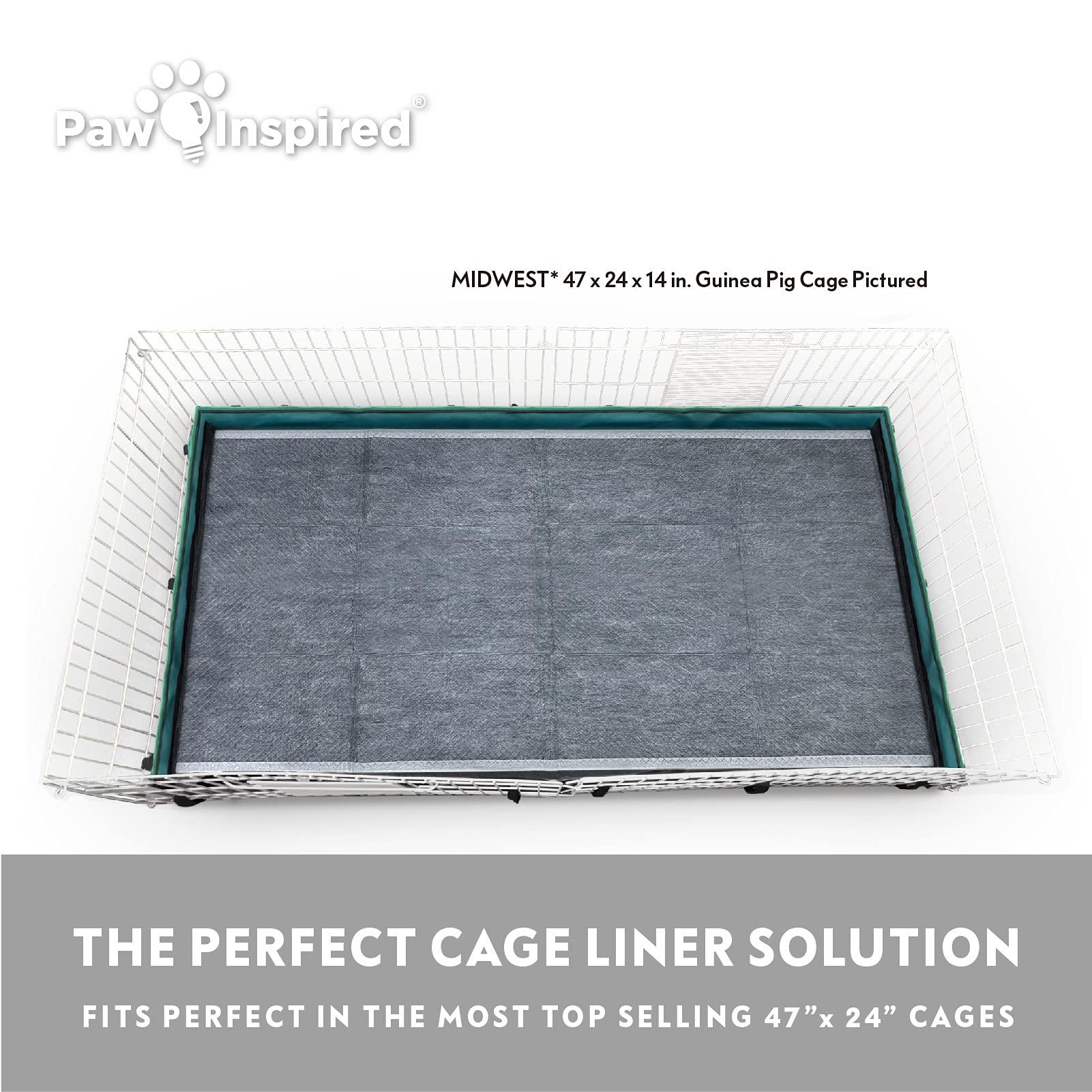 Paw Inspired dryspeed technology label highlights fast drying