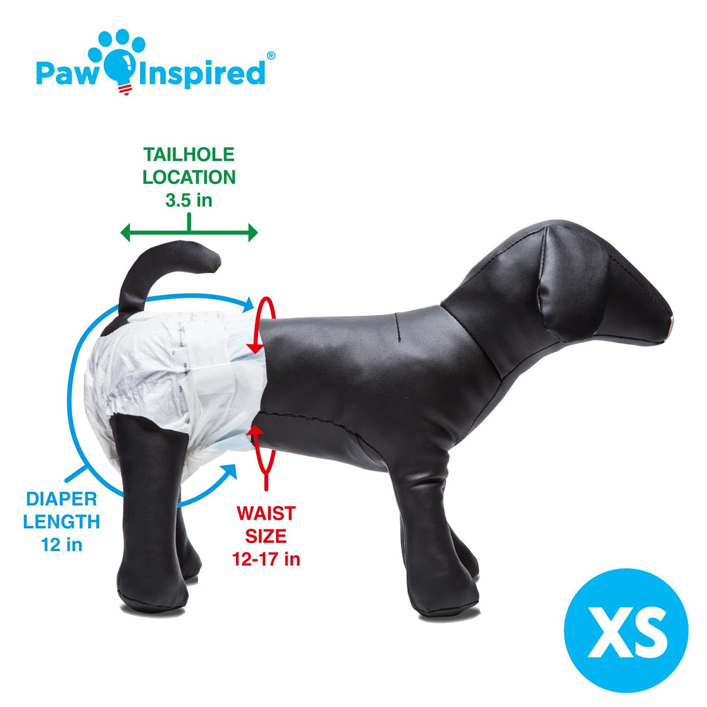 Paw Inspired female dog diaper worn on a dog during heat or training.