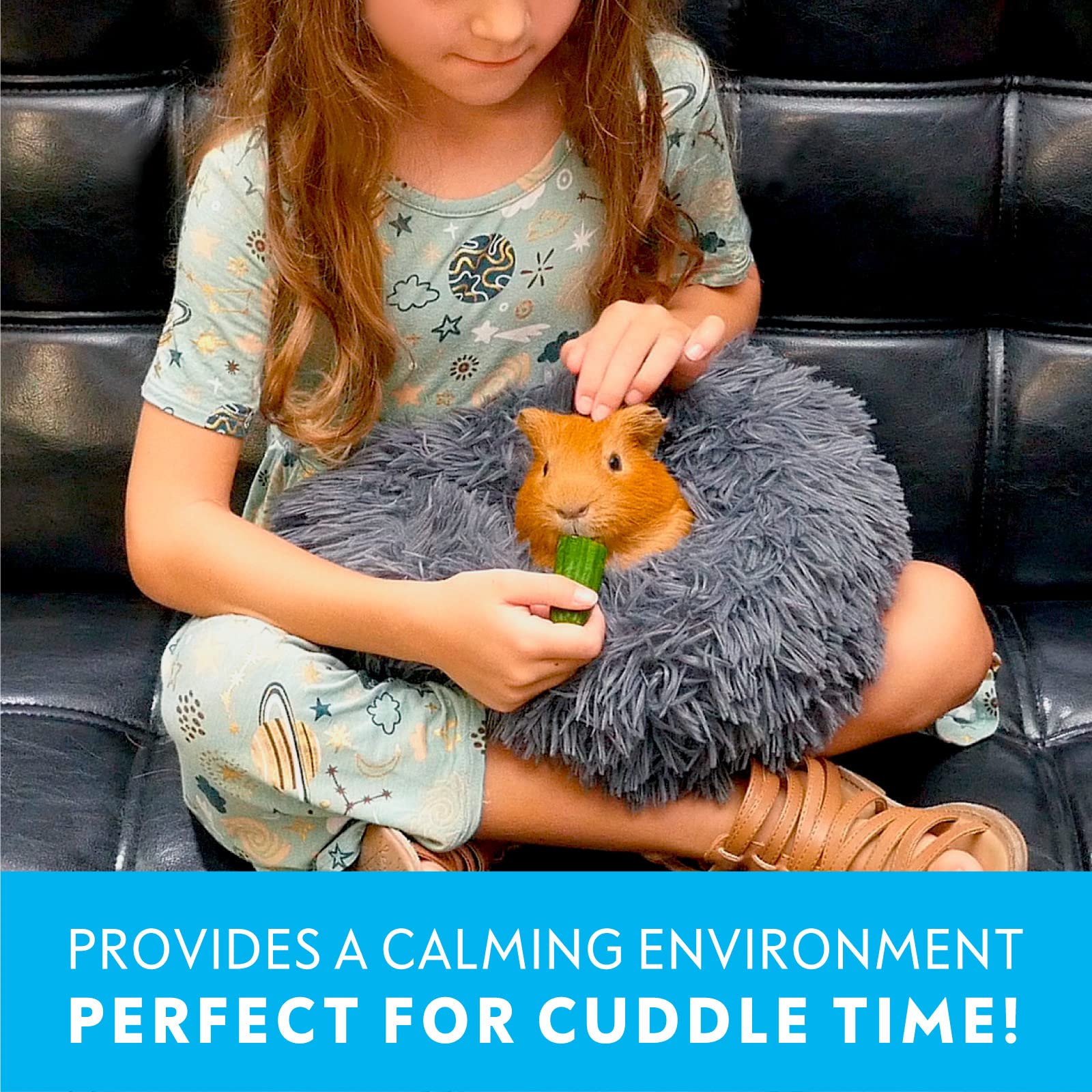 Paw Inspired Furr-O travel-ready bed doubles as a portable carrier to calm during vet visits.