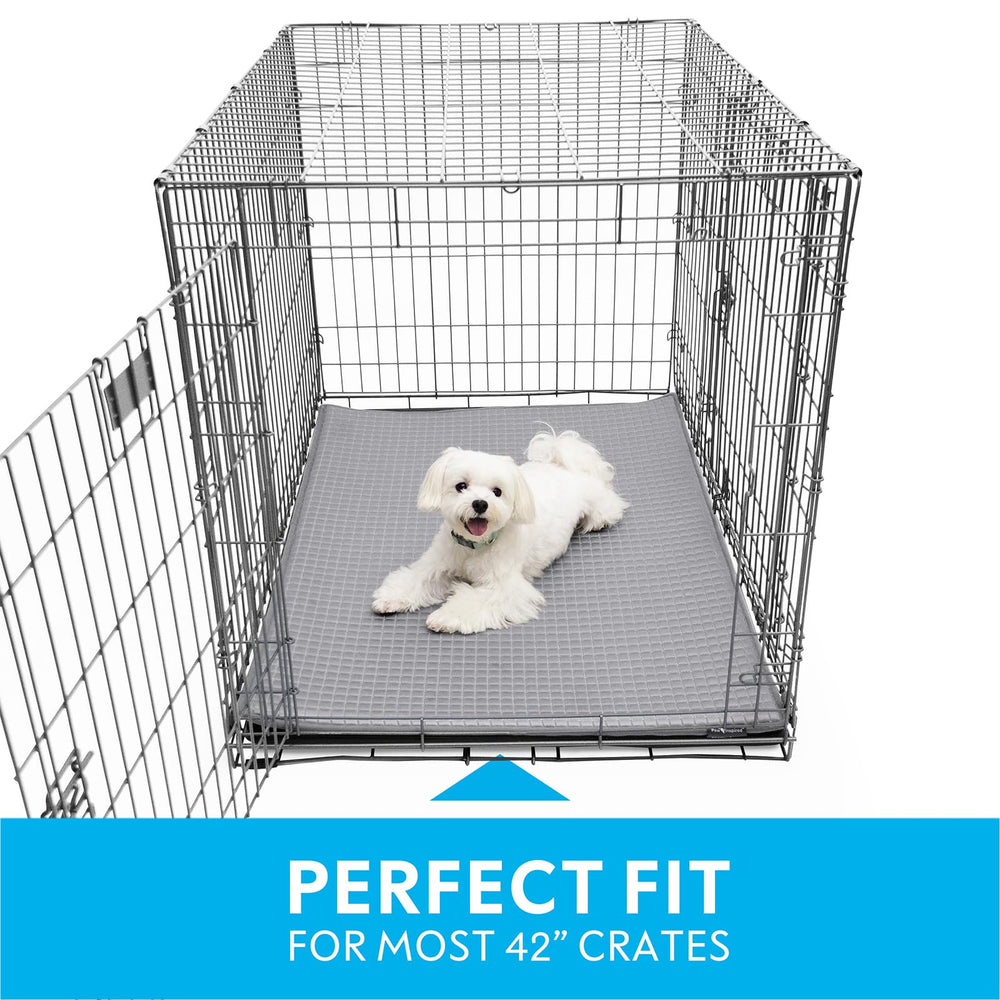 Paw Inspired large 41x28 inch pad fits 42 inch kennels for versatile use.