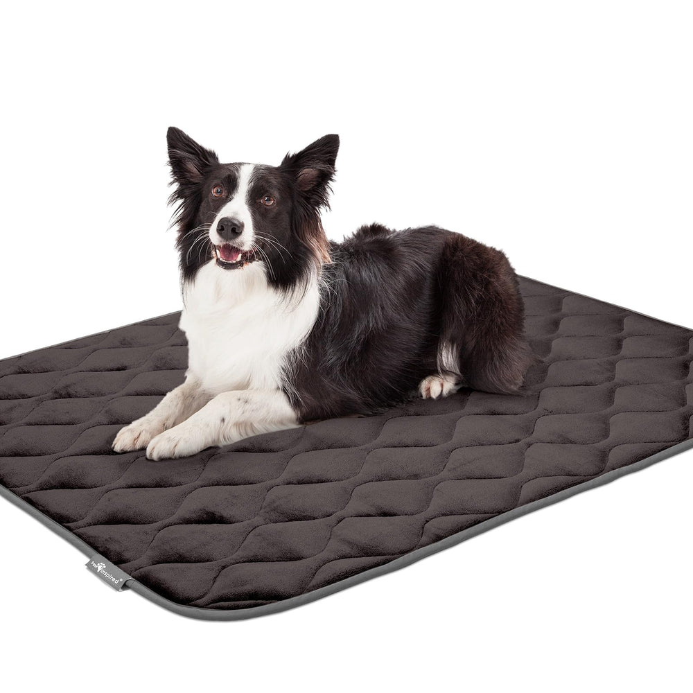 Paw Inspired plush dog bed inside crate in gray for cozy rest