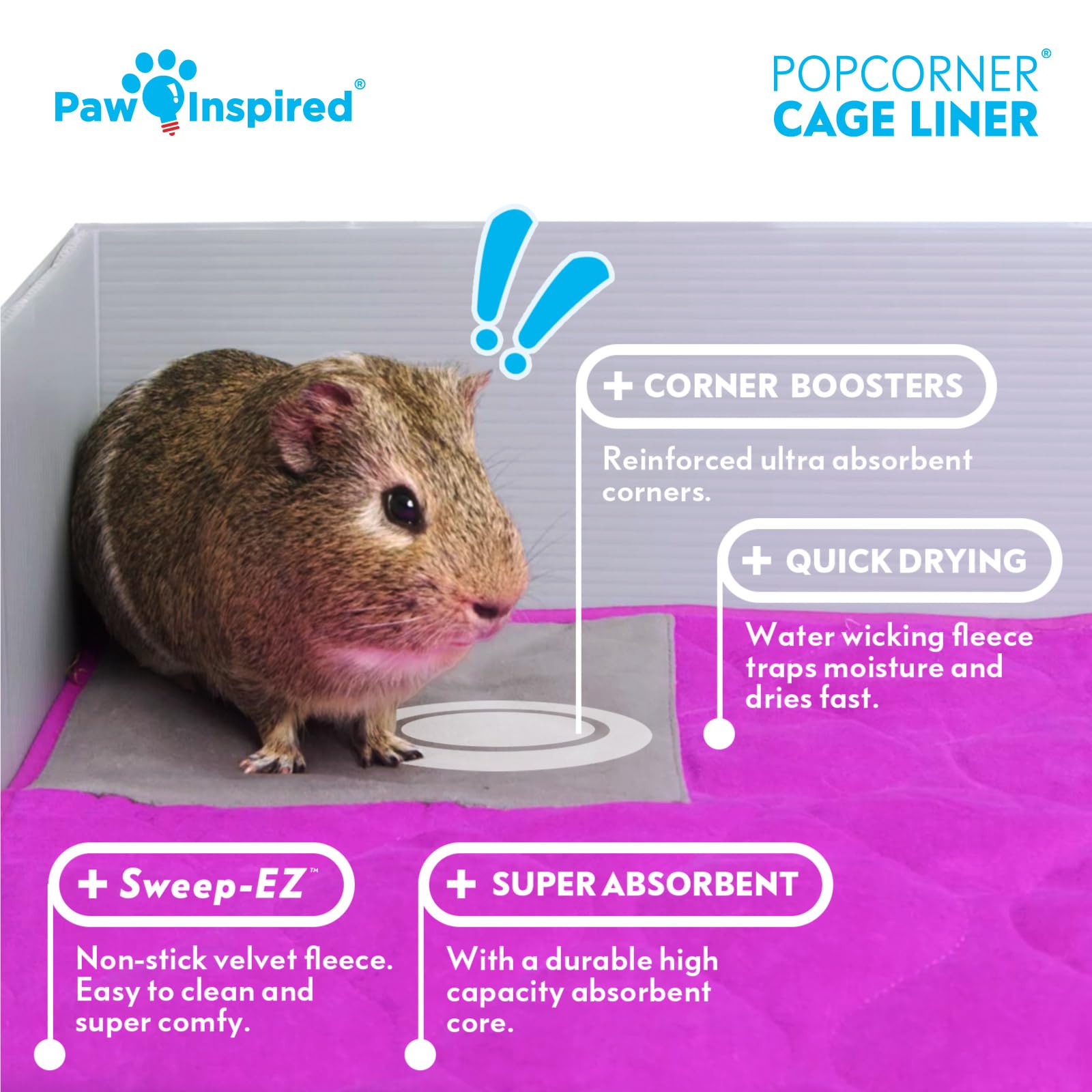 Paw Inspired PopCorner Midwest cage blue setup shows easy placement and clean habitat.