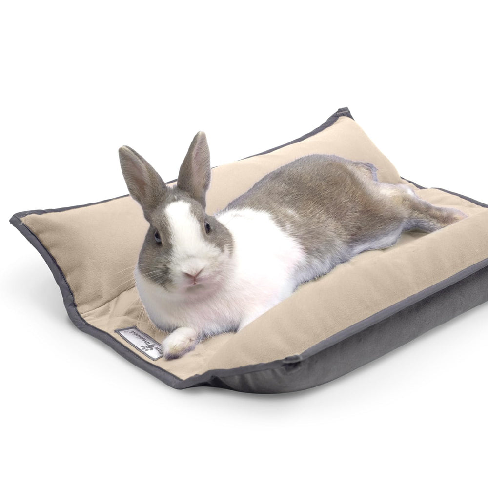 Paw Inspired Snuggle Bunny Bed front view in gray-beige, cozy resting for small pets.