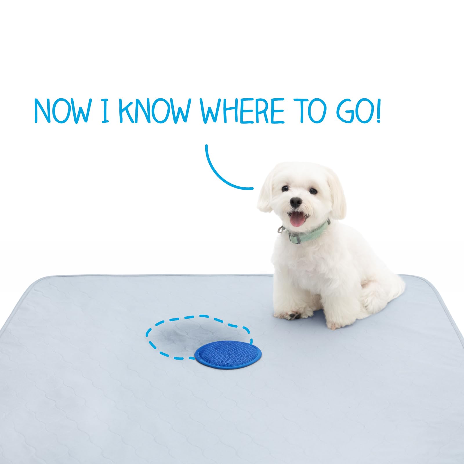 Paw Inspired Speed Spot pads are machine-washable for reuse