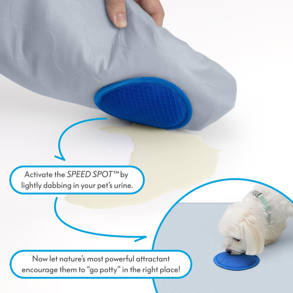 Paw Inspired Speed Spot urine patch application demonstrates scent reinforcement