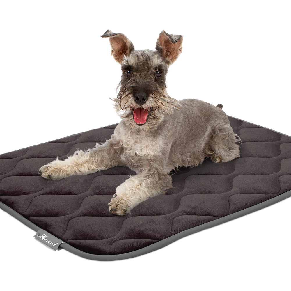 Paw Inspired close-up edge stitching shows durable, well-made padding